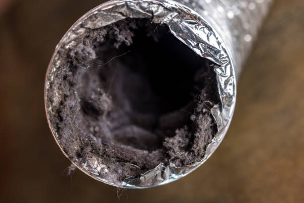 Best Commercial Air Duct Cleaning  in Sheffield, OH
